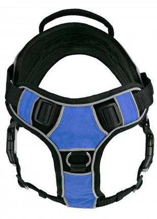 Шлей quest kareline для собак з нейлону, світловий кант пластикова пряжка xl 915-1145 мм синій