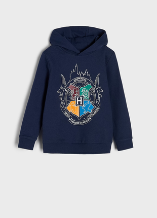 Худи harry potter1 фото