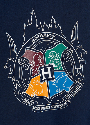Худи harry potter2 фото