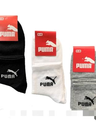 Набір 6 пар асорті шкарпетки чоловічі "puma" демісезонні. 41-45р. середньої висоти.