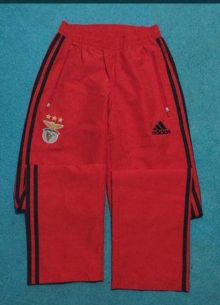 Акція🎉 костюм спортивний benfica унісекс червоного кольору (кофта, штани)5 фото