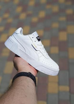 Puma coli білі