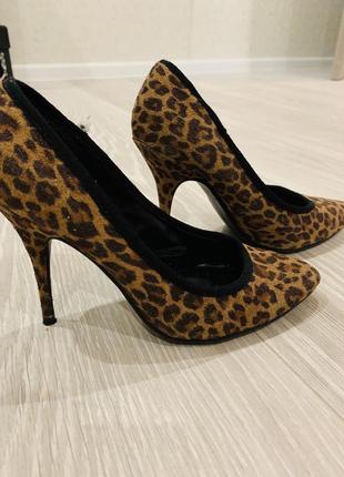 Туфлі-човники тигрові