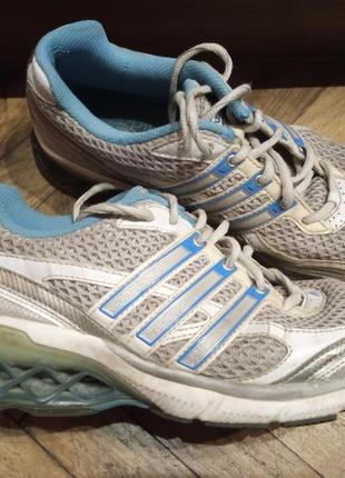 Adidas boost womens online