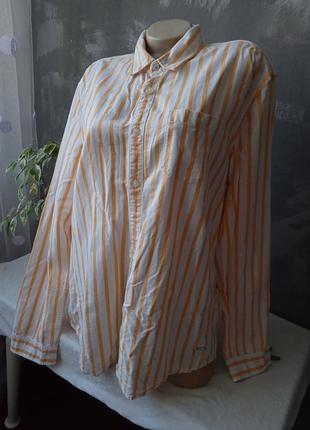Сорочка в смужку edc