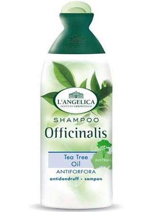 Шампунь проти лупи і для сухого волосся "олія чайного дерева" l angelica shampoo antiforfora