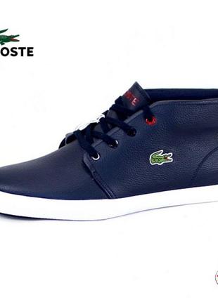 Кеды 41 р lacoste кожа1 фото