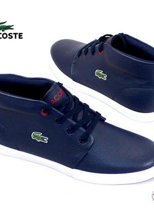 Кеды 41 р lacoste кожа4 фото