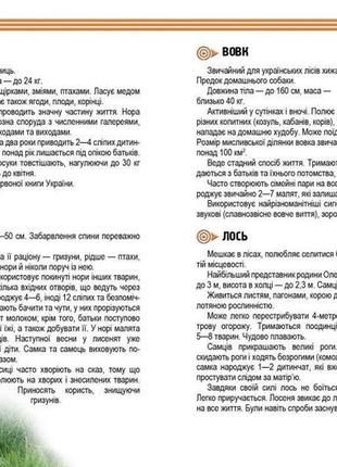 Енциклопедія для допитливих рослини і тварини 17х22,5см 96стор (укр) арт.06222 фото