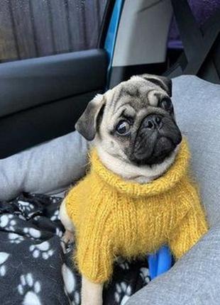 Теплый вязаный свитер для мопса, французика
