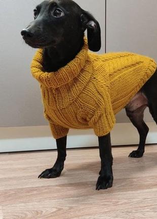 Теплый вязаный свитер для таксы, басенджи1 фото