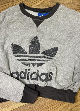 Світшот adidas