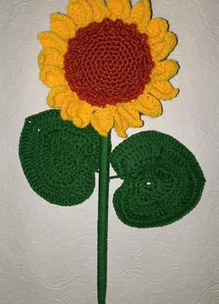 Квітка соняшник