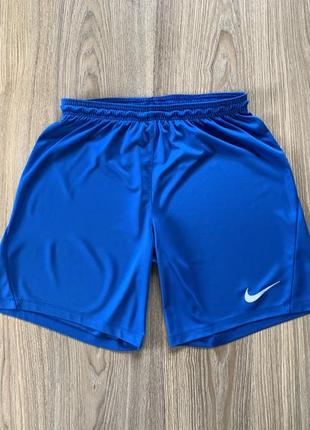 Мужские спортивные шорты nike