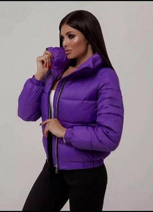 Куртка жіноча коротка демісезонна — 008 ліловий колір