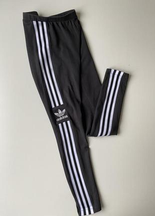 Спортивные лосины adidas10 фото