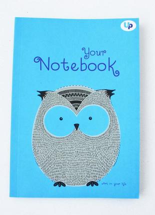 Блокнот а5 з кольоровими аркушами profi artbook owl 128 сторінок арт. 503911 фото