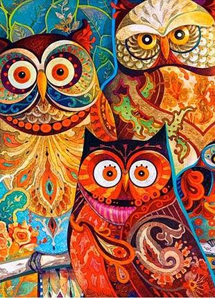 Алмазна вишивка. картина на підрамнику "яскраві сови", 40х50см, квадратні стрази