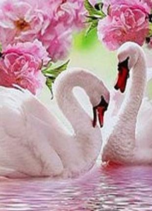 Алмазна вишивка. картина на картоні "романтика" , розмір 21х25