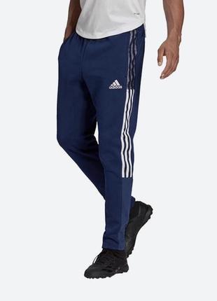 Брюки мужские спортивные утепленные adidas