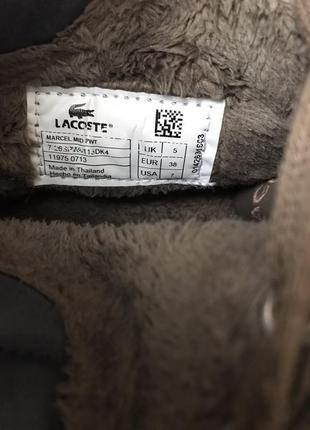 lacoste Knit кожаные кеды высокие2 фото