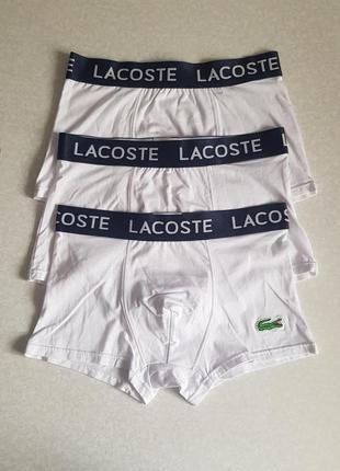 Набор трусов lacoste 3шт