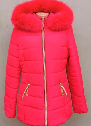Жіноча зимова куртка 46 - 1159
