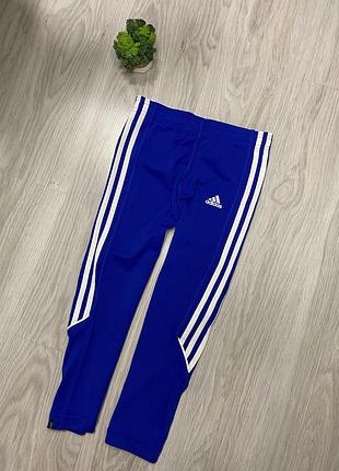 Женские лосины леггинсы тайтсы капри adidas
