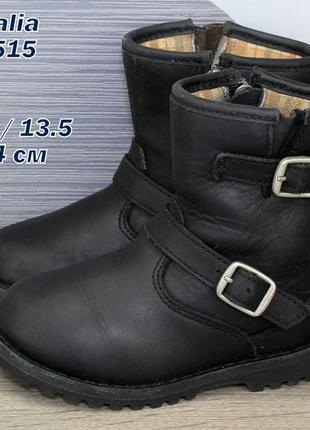 Сапоги ugg australia