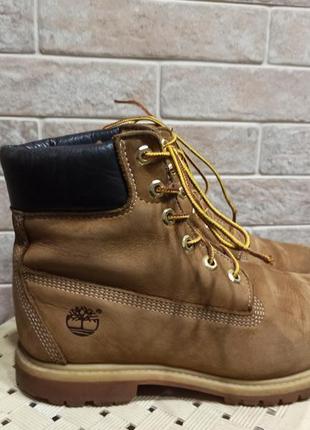 Черевики з нубукової шкіри timberland