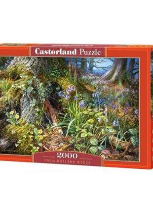 Пазлы "в лесу", 2000 эл