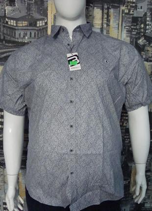 Рубашка мужская большого размера, серая стрейч 2x, barcotti турция