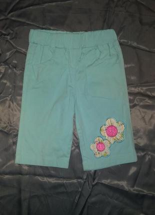 Шорты хлопок