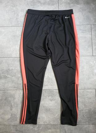 Мужские спортивные штаны adidas he7162, l8 фото