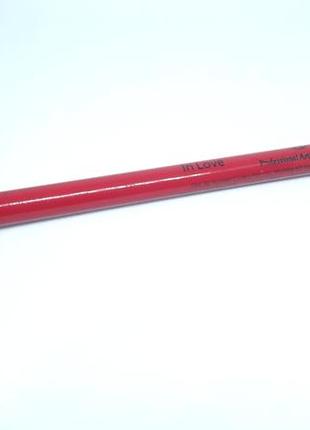 Олівець для губ pac precisionist lip liner1 фото