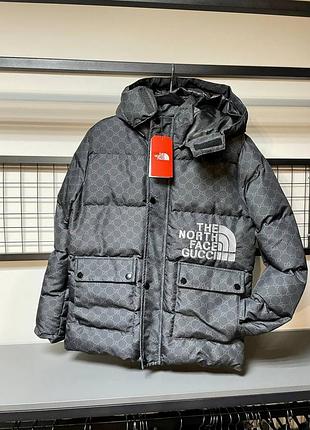 Чоловіча куртка tnf(the north face)
