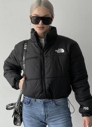 Куртка the north face