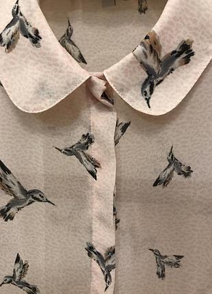 Очень красивая и стильная брендовая блузка в птичках.