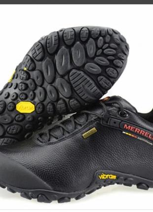 Кросівки чоловічі merrell