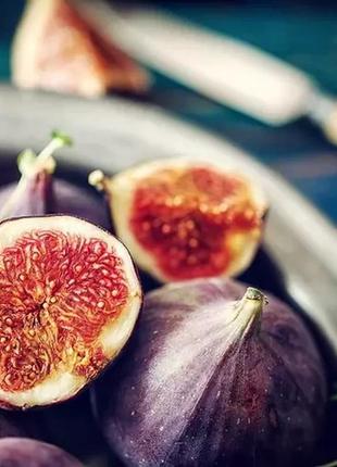 Аромат для свечи и мыла средиземноморский инжир (candlescience mediterranean fig)  10 грамів