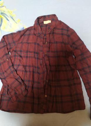 Сорочка hollister