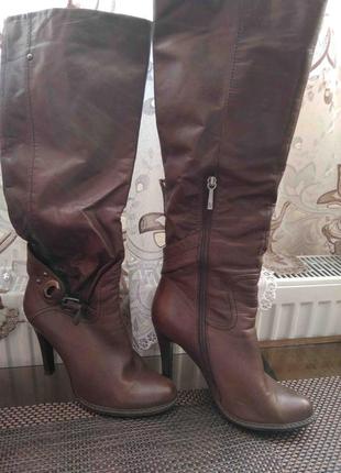 Чоботи демісезонні basconi