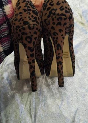 Леопардовые туфли2 фото