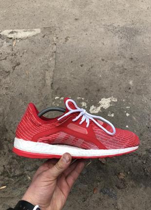 Кросівки adidas pureboost