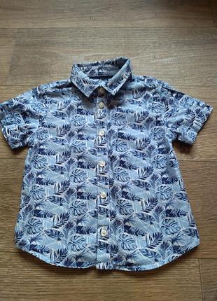 Тенниска cotton