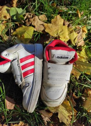 Кросівки хайтопи adidas1 фото