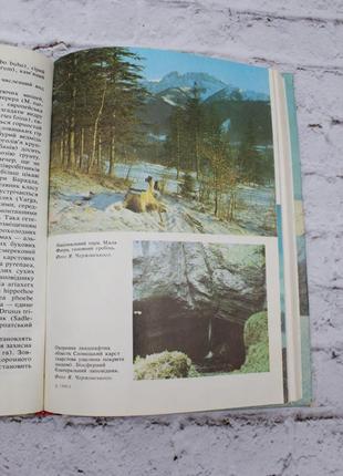 Стойко с., гадач е., шимон т., михалик с. заповідні екосистеми карпат. 1991р. 248с. книга б/в.6 фото