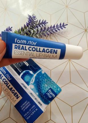 Бальзам для губ farmstay real collagen essential lip balm с коллагеном 10 мл1 фото
