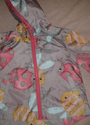 Відмінна вітровка лав некст 1,5-2г,