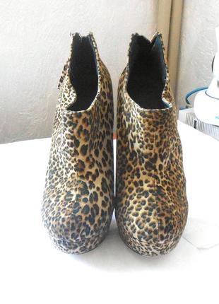 Фирменные леопардовые ботильоны ботинки от известного бренда atmosphere, р.37 код f37033 фото